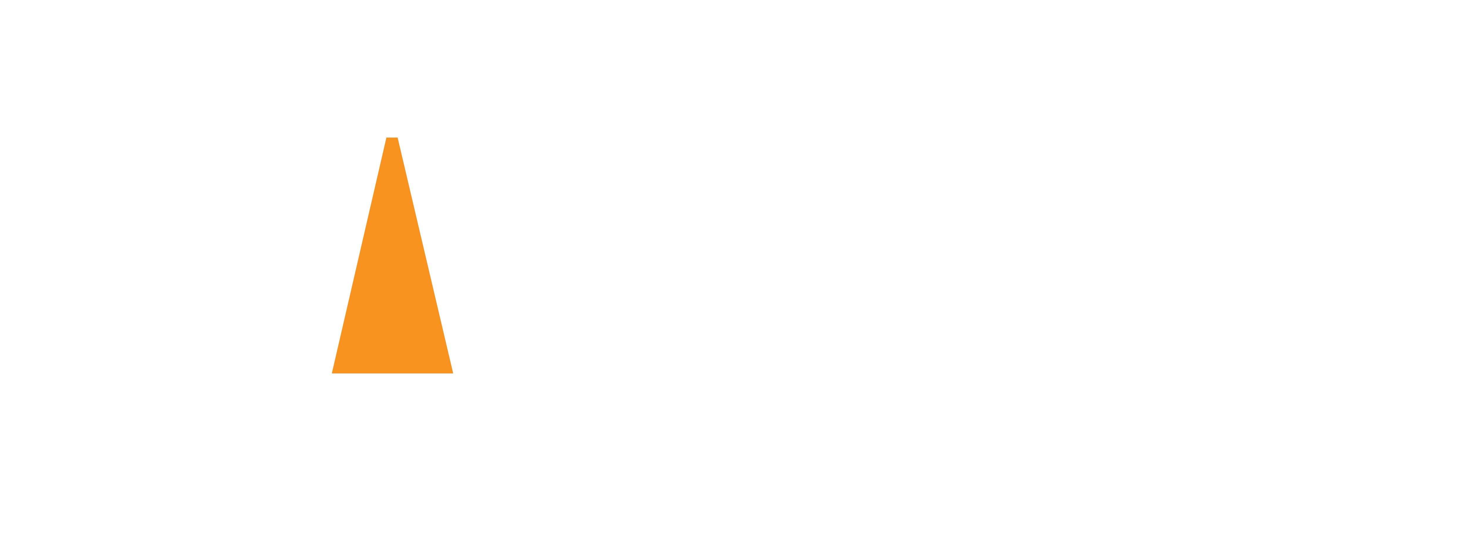 logo_SafetyStoreMX_BLANCO_N